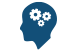 cerveau2