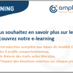 e-learning-DISC
