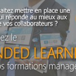formation-blended-learning-management