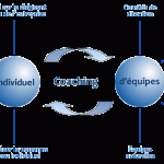 schema_coaching