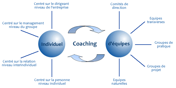 schema_coaching
